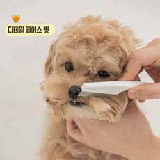 강아지 브러쉬 고양이 빗 애견 샵 미용 벼룩 반려동물, 1개