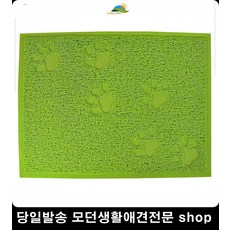 고양이초보집사되기