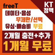 프리티유심