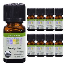 유칼립투스바디오일