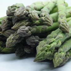 양구아스파라거스