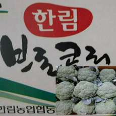 알뜰 농장 국내산 햇 브로콜리 최상품 1kg/4kg내외, 1개, 국내산 브로콜리 2kg 내외, 2kg
