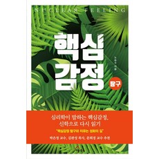 핵심감정 탐구:심리학이 말하는 핵심감정 신학으로 다시 읽기