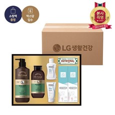 25년 설 LG생활건강 선물세트 시그니처 컬렉션그린 x 6개