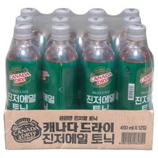 캐나다드라이 진저에일 토닉, 450ml, 12개