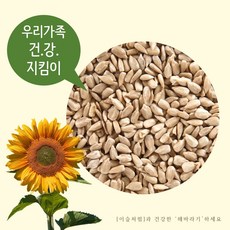 러시아해바라기씨