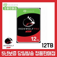 씨게이트 아이언울프 Pro 12TB ST12000NT001 NAS용 HDD 하드 - 아이언울프12tb