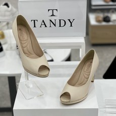 탠디가보시토오픈