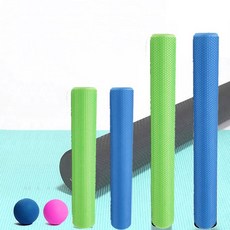 셀핏 슬림폼롤러 10cm 얇은 폼롤러 노약자 어린이 추천, 블루
