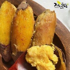 23년 햇 해남 황토 꿀고구마, 1개, 대 3kg