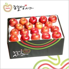 장길영사과 사과 중과 10kg(33∼39과), 1박스