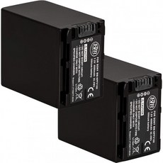 BM 2-Pack of NP-FV100 Batteries for Sony FDR-AX53 HDR-CX455 HDR-CX675 PJ260V HDR-PJ380 HDR-PJ430V HDR-PJ580V HDR-PJ650, 단일옵션