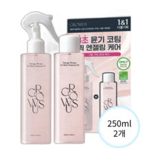 그로우어스 데미지 노워시 광채 트리트먼트 250미리 1+1 더블