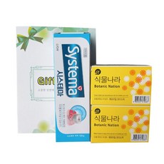 식물나라아이스