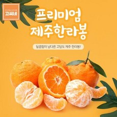 제주고씨네