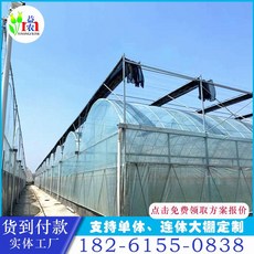 78f781721d4c1c365a6c45bfb7768a9e02a0d2eab5119dc3a354448428f6.jpeg