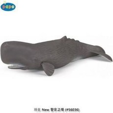 향유고래모형