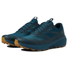 아크테릭스노반캡