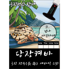 펠리세이드3열등