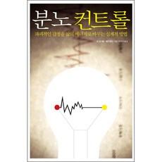 분노 컨트롤 - 도서출판 디모데 칩 잉그램 베카 존슨, 단품