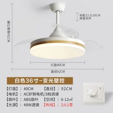 루씨에어실링팬화이트헤이븐