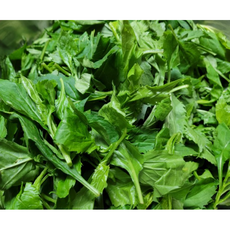 부드러운 고추잎 1kg 생고춧잎 나물 생고추잎 고추순 고추잎나물 고추나물 밥도둑 반찬, 1개
