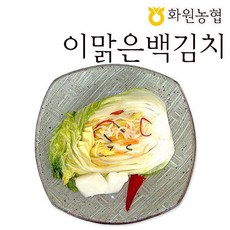 저염식백김치