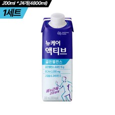 뉴케어 액티브 골든밸런스 단백질음료, 4800ml, 1개