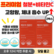 철분제 비타민C 여성빈혈철분제 여성 철분제 임산부 철분제 철분영양제 철분 프리미엄 임산부영양제, 2박스, 90정