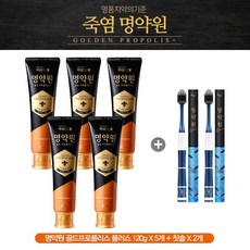 [LG생활건강] 명약원 골든 프로폴리스 플러스 치약 7종 세트, 단품