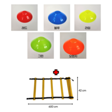 축구용품 축구교실 순발력 훈련 트레이닝 접시콘 스텝레더 축구콘 라바콘 칼라콘 민첩성 훈련 소형 유아체육 스포츠 세트 스피드훈련