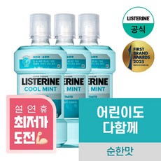 리스테린 쿨민트 마일드 구강청결제, 750ml, 3개
