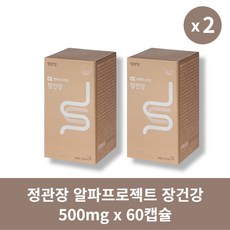 [본사정품] 정관장 알파프로젝트 장건강 500mg x 60캡슐 2박스 세트, 60정