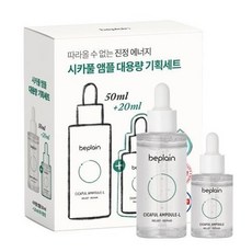 비플레인시카풀앰플