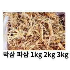 수삼 파삼 막삼 가정용 인삼 파삼 1kg 못생긴인삼 막삼 대용량, 파삼2kg, 1개