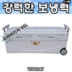 ST 행관슈퍼바이저 아이스박스 66L 쿨백 보냉, 상세페이지 참조, 1개