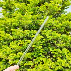 국내생산 스탠리퀜처 호환빨대 트렌타 텀블러빨대 롱스트로우 30cm 긴 유리빨대, 1개, 3개