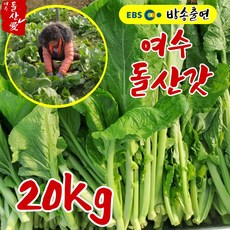 [여수돌산애] 여수 돌산갓 돌산생갓 5kg 10kg 생산자 직송 전라도 갓김치 생갓 청갓 갓장아찌, 20kg, 1개