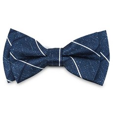 넥타이보타이세트