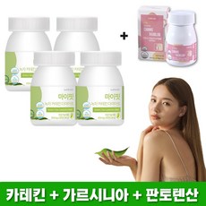  바이오드빅 카테킨 아세로라cb 다이어트보조제 녹차카테킨 체지방감소 diet, 4개, 240정 