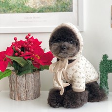 봉쥬르뚜뚜우비