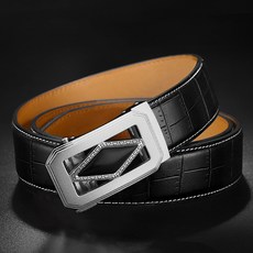 와일드브릭스벨트