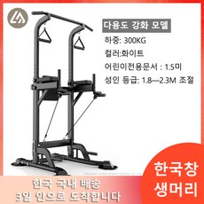 [국내배송]LMLL&PP철봉 치닝디핑 전신 운동 기구 가정용, LM60