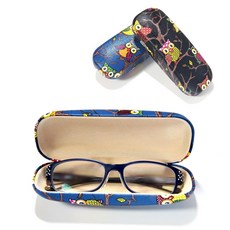 부엉이안경케이스