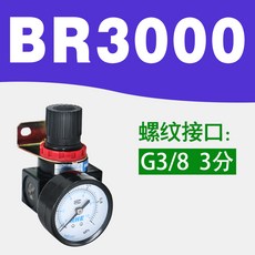 br-3000미니