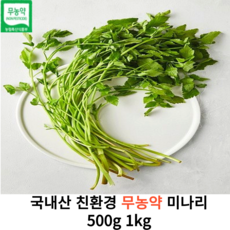 국내산 친환경 무농약 청정 미나리 500g 1kg 국산 향긋한 싱싱한 특상품 미나리 당일수확, 1개