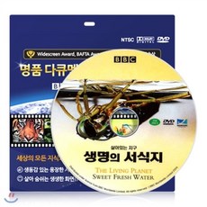 dcc740a7c4e92ad6e7f11255c97d47b21e4810a4ae543933929e4186404f.png
