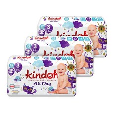 킨도올데이4단계