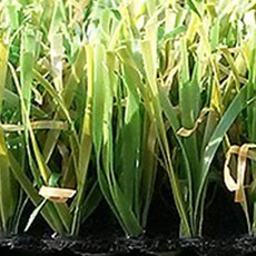 애견인조잔디매트