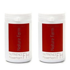 네이쳐팜 뉴트리언스 FH 플라워혼전용 그래뉼사료, 250ml, 2개